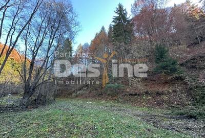 Teren Construcții extravilan de 2882 mp, în Podu Dâmboviței - 5