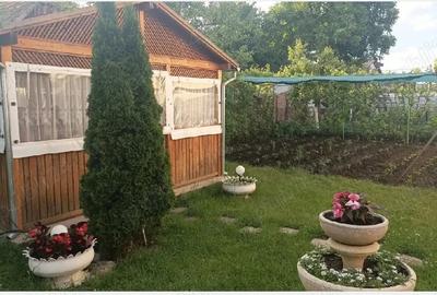 Casă cu 3 camere cu Teren 500 Mp în Central - 3