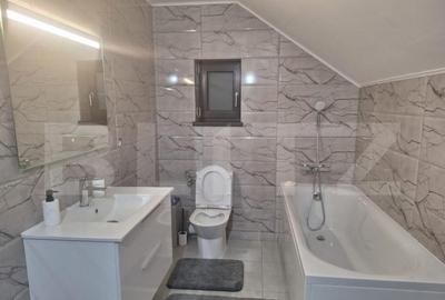 Valea Voievozilor Vila P+M 150mp - 3