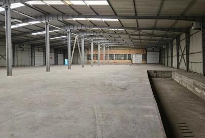 HALA 2300 MP//PARCUL INDUSTRIAL//ZONA YAZAKI - 4