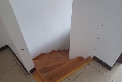 Casa insiruita, 2 dormitoare, garaj, Sanmartin. 120 000 E. Comision 0. - 15