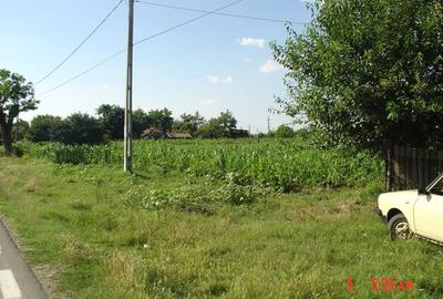 Teren de 2500 mp, în Sălcioara - 4