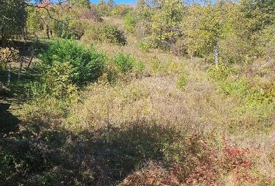 Vand apartament cu 3 camere Deva, in Vila cu 3 ap etaj 2 +230 mp teren - 6