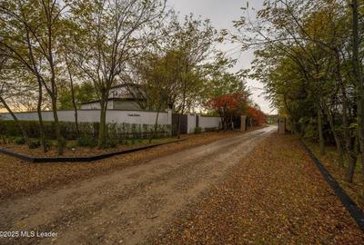 Teren în Afumați - 12