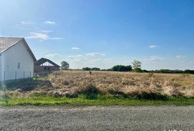 Teren de 700 mp, în Șag - 1