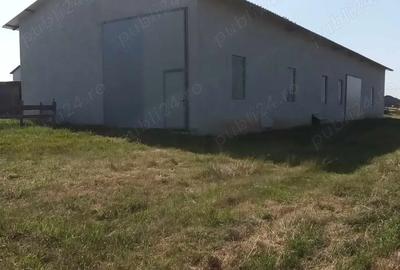 Vand hala industriala - 1