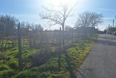 Teren Construcții intravilan de 1683 mp, în Ciocârlia - 2