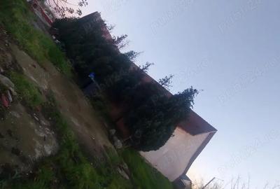 Vand Vila+Hala+Garaj+Cascada de Pesti!Piscina - 6