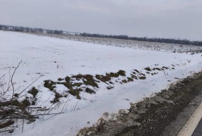 Teren de 6000 mp, în Horodnic - 1