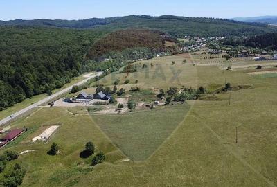 Teren 5,561mp Paltinoasa / Strada principala - 7