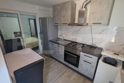 Garsoniera, 43mp, zona Birsesti - 3