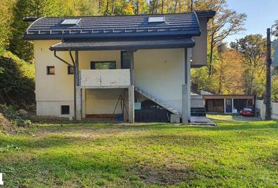 Casă cu 5 camere decomandat cu Teren 4700 Mp în Valea Roșie - 11