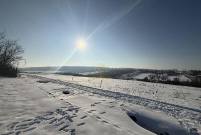 Teren de 1439 mp, în Viile Satu Mare - 1