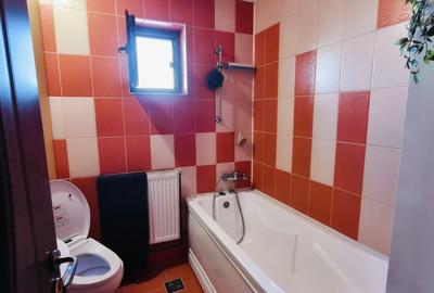 Apartament cu 3 camere decomandat în Frumoasa - 9