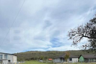 Teren de Vanzare, foarte aproape de Crama Jelna - 7