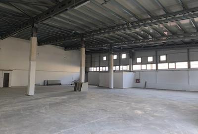 Inchiriere hala industriala 700 mp sos. Giurgiului - 4