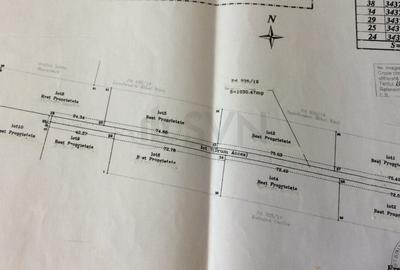Teren Construcții intravilan de 24000 mp, în Corbeanca - 5