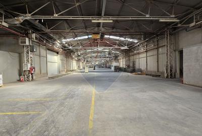 DE VANZARE Hala | 17.230mp | 4MW | 3ha Teren | Sebes | A1 - 13