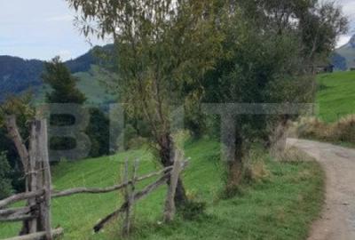 Teren 13.570 mp, Moieciu Pestera - 6