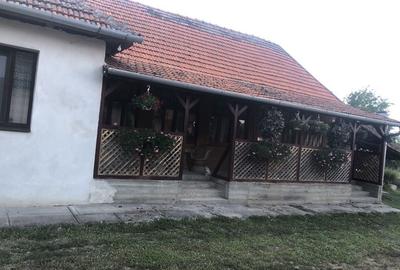 Casă cu 4 camere în Macea - 1