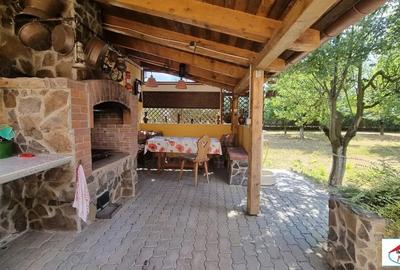 Casă cu 7 camere cu Teren 1717 Mp în Bercu Roșu - 3