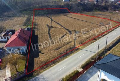 Teren de 5600 mp, în Valea Brazilor - 8