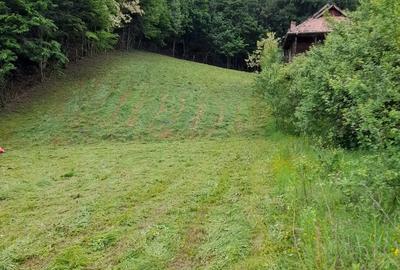 Teren de 2584 mp, în Fedeleșoiu - 2