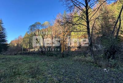 Teren Construcții extravilan de 2882 mp, în Podu Dâmboviței - 9