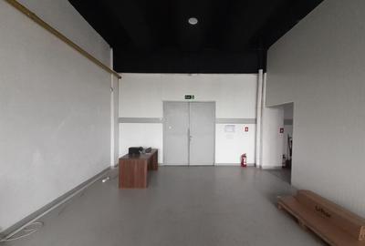 Spațiu industrial, de 47 mp, în Theodor Pallady - 2