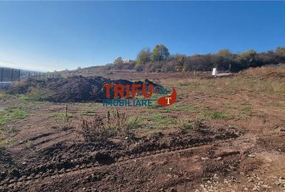 Spațiu comercial, în Cetate - 4