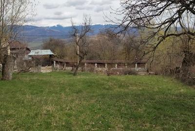 Spațiu comercial, în Mățău - 5