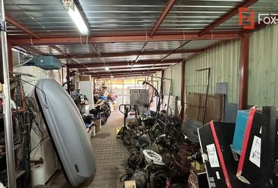 Casa individuala, 160 mp cu atelier auto 110 mp, in Utvin - 8