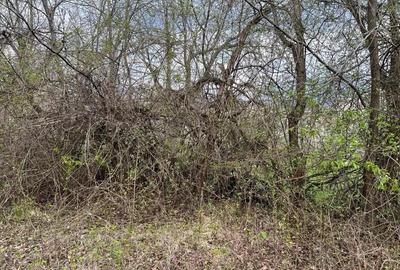 Breaza - str. Plaiului, teren 1400 mp - 4