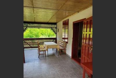 Proprietate Unică în Inima Naturii - Galaoaia, Mureș - 6