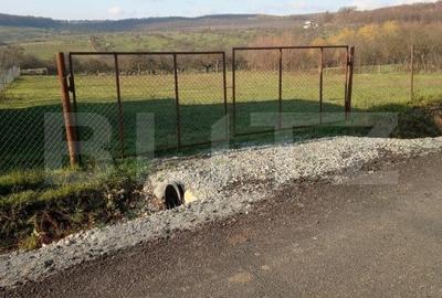 Teren intravilan 3600mp, Posmus - 2