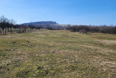 Spațiu comercial, în Pianu