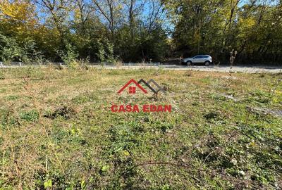 Casă cu Teren 500 Mp în Cornu - 6