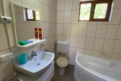 Casa S+P+M, Glambocelu, Argeș - idealimob.ro - 9