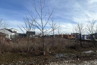 Spațiu comercial, în Balotești - 4