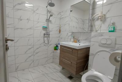Apartament cu 2 camere decomandat în Basarabia - 9