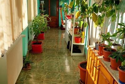 Casă cu 6 camere cu Teren 2984 Mp în Chișineu-Criș - 6