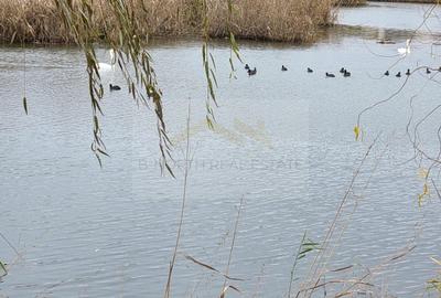 Teren în Corbeanca - 7