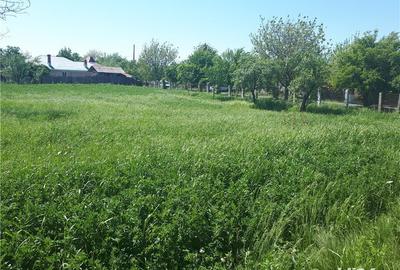 Teren de 2000 mp, în Vedea - 2