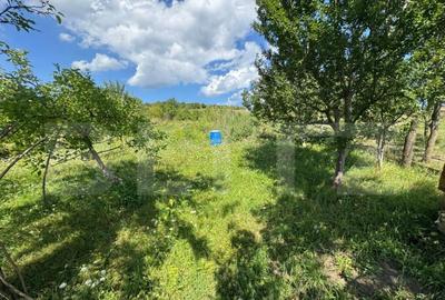 ???? Casa de vanzare in Tarpiu, la doar 10 km de Bistri? - 13