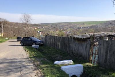 Teren de 5000 mp, în Miroslava - 8