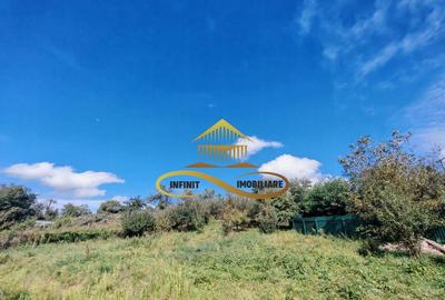 Casă cu 4 camere cu Teren 1700 Mp în Grigoreni - 4