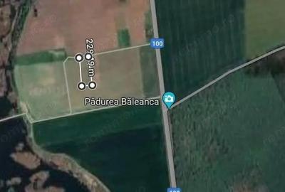 Teren de 753 mp, în Brănești - 3