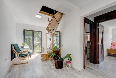 Casa de Maneciu Pamanteni, singur curte - 13