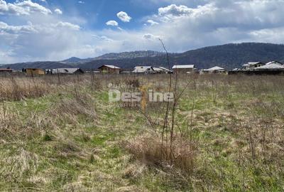 Teren Construcții intravilan de 900 mp, în Dumbrava Roșie - 13