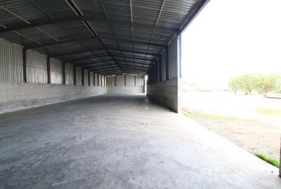 Baza de cereale in functiune , 4500 mp intravilan + 2 depozite (aprox 1000mp) - 7